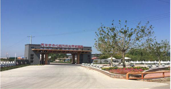 天津市齐心现代农业示范园